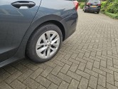45645509-10